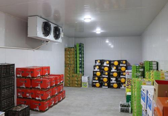 嘉興蔬菜氣調(diào)庫(kù)定做