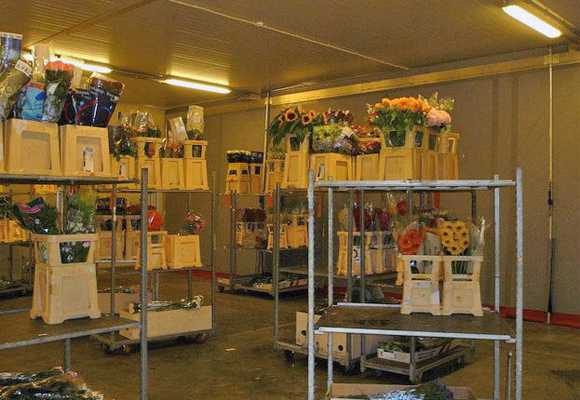 嘉興保鮮庫設(shè)計(jì)定做