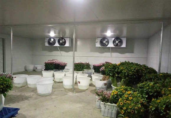 嘉興鮮花保鮮庫設(shè)計(jì)安裝