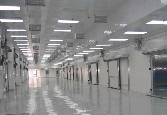 嘉興海鮮速凍庫(kù)設(shè)計(jì)