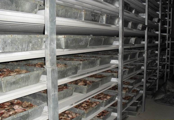 嘉興海鮮凍庫(kù)建造